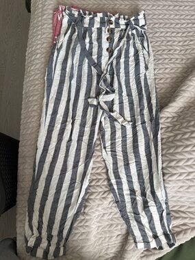 American Eagle Outfitters Cream and Black Striped Pants